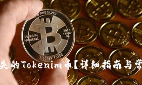 如何找回丢失的Tokenim币？详细指南与常见问题解答