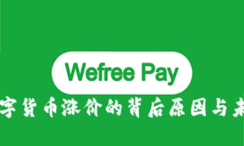 沈腾数字货币涨价的背后原因与未来展望