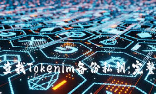 如何查找Tokenim备份私钥：完整指南