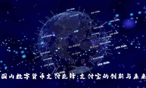 国内数字货币支付先锋：支付宝的创新与未来