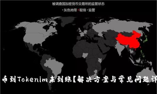 转币到Tokenim未到账？解决方案与常见问题详解