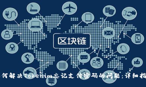 如何解决Tokenim忘记支付密码的问题：详细指南