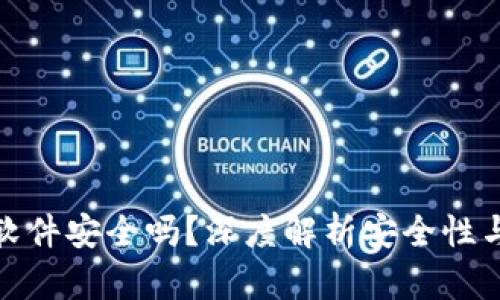 数字货币软件安全吗？深度解析安全性与风险管理