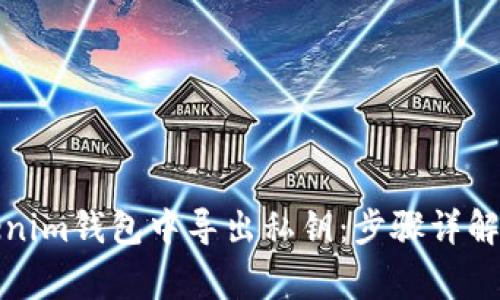 如何在Tokenim钱包中导出私钥：步骤详解与注意事项