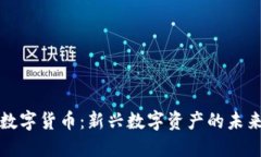 朱怀阳数字货币：新兴数
