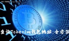 如何查询Tokenim钱包地址：