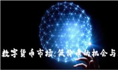 探索数字货币市场：低价