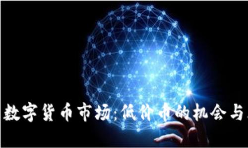 探索数字货币市场：低价币的机会与风险