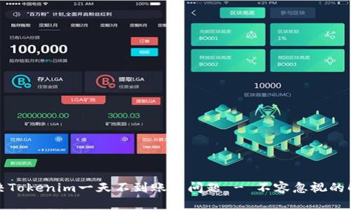 如何解决Tokenim一天不到账的问题 - 不容忽视的解决方案