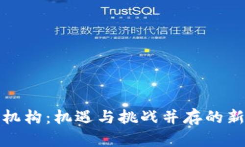 数字货币内资机构：机遇与挑战并存的新时代金融生态