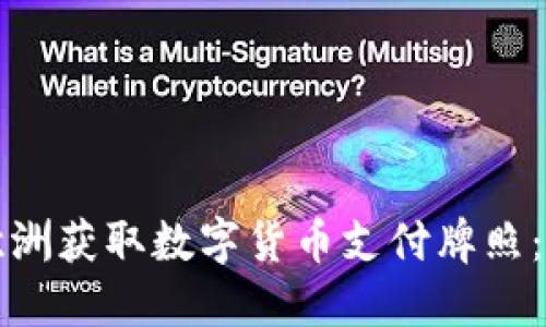 如何在欧洲获取数字货币支付牌照：全面指南