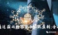 如何通过国内数字货币实