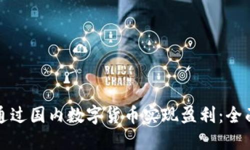 如何通过国内数字货币实现盈利：全面指南