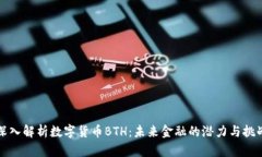 深入解析数字货币BTH：未