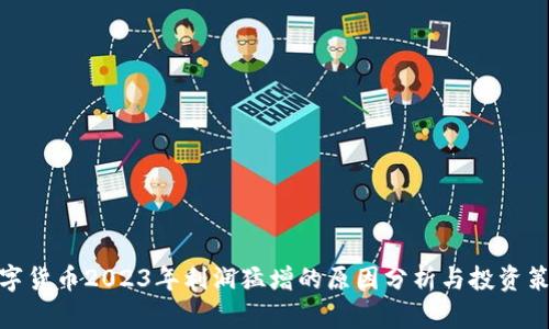数字货币2023年利润猛增的原因分析与投资策略