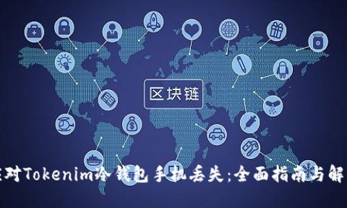如何应对Tokenim冷钱包手机丢失：全面指南与解决方案