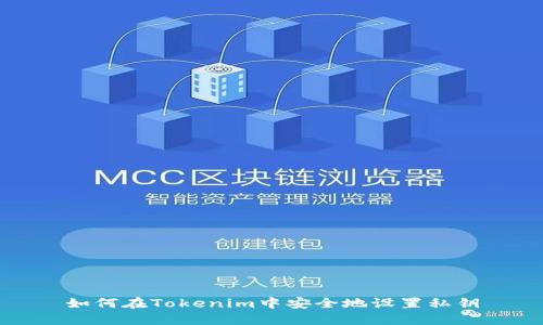 如何在Tokenim中安全地设置私钥