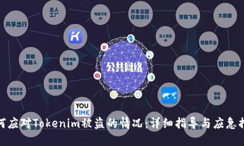 如何应对Tokenim被盗的情况：详细指导与应急措施