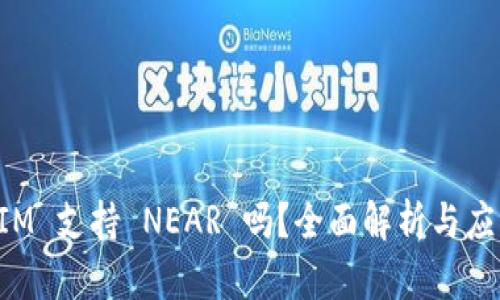 TokenIM 支持 NEAR 吗？全面解析与应用案例