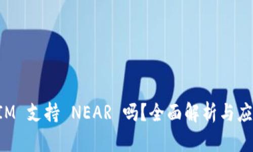TokenIM 支持 NEAR 吗？全面解析与应用案例