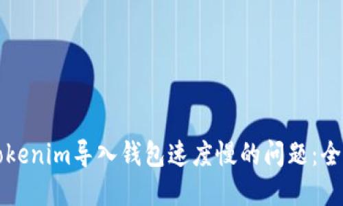 解决Tokenim导入钱包速度慢的问题：全面指南