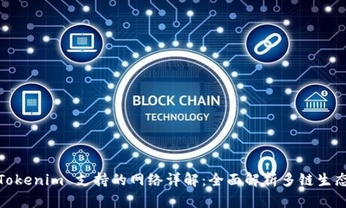 Tokenim 支持的网络详解：全面解析多链生态