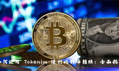 如何使用 Tokenim 进行比特币转账: 全面指南