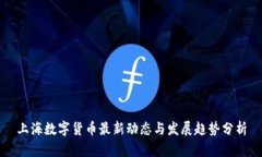 上海数字货币最新动态与