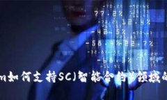 详解Tokenim如何支持SC（智能合约）领域的发展与