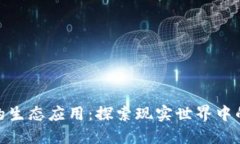 数字货币的生态应用：探索现实世界中的创新案