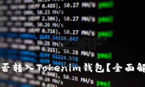 山寨币能否转入Tokenim钱包？全面解析与指南