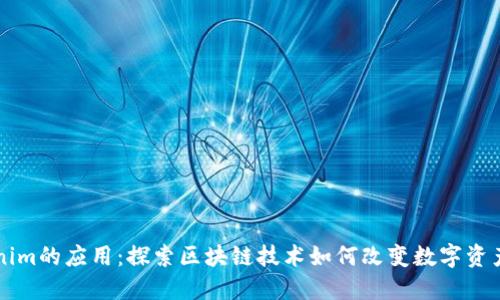 Tokenim的应用：探索区块链技术如何改变数字资产交易